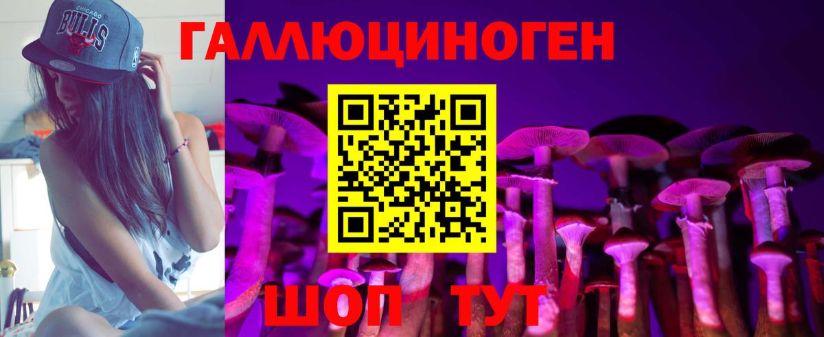 Галлюциногенные грибы Cubensis  Вход с VPN  Галлюциногенные грибы прущие грибы  Сибай 